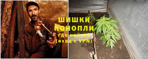 тгк Богородск