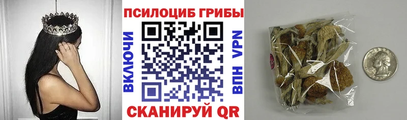 Галлюциногенные грибы Psilocybine cubensis Кировск